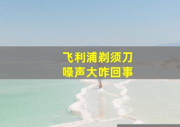 飞利浦剃须刀噪声大咋回事