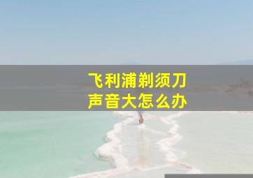 飞利浦剃须刀声音大怎么办