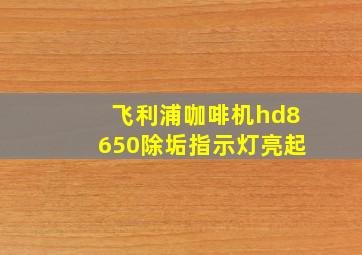 飞利浦咖啡机hd8650除垢指示灯亮起