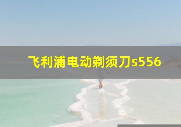 飞利浦电动剃须刀s556