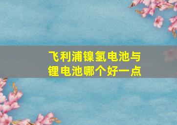 飞利浦镍氢电池与锂电池哪个好一点