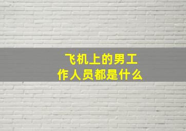 飞机上的男工作人员都是什么