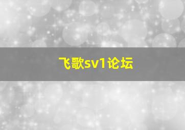 飞歌sv1论坛