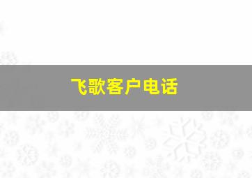 飞歌客户电话