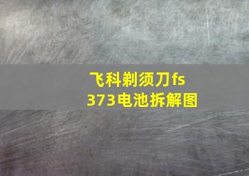 飞科剃须刀fs373电池拆解图