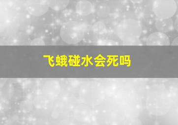 飞蛾碰水会死吗