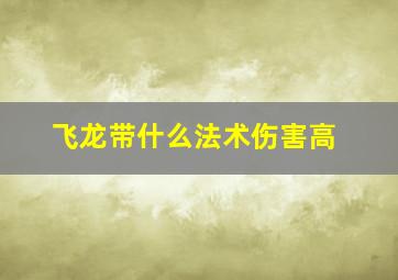 飞龙带什么法术伤害高