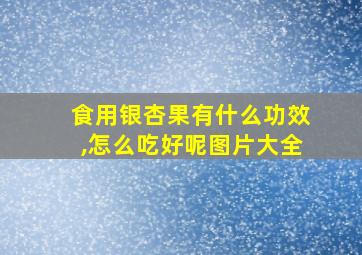 食用银杏果有什么功效,怎么吃好呢图片大全