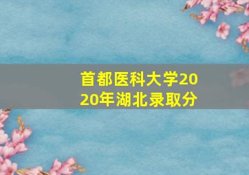 首都医科大学2020年湖北录取分