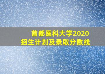 首都医科大学2020招生计划及录取分数线