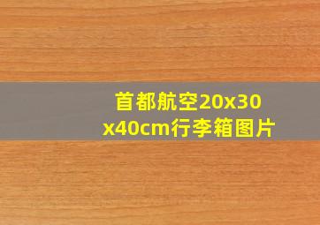 首都航空20x30x40cm行李箱图片