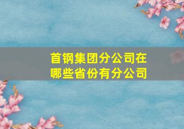 首钢集团分公司在哪些省份有分公司