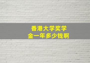 香港大学奖学金一年多少钱啊