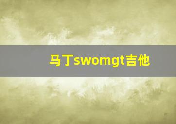 马丁swomgt吉他