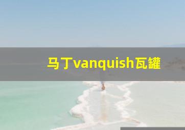 马丁vanquish瓦罐