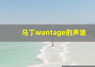 马丁wantage的声浪