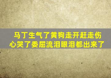 马丁生气了黄狗走开赶走伤心哭了委屈流泪眼泪都出来了