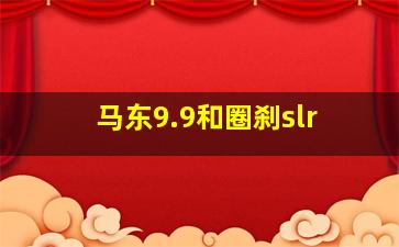 马东9.9和圈刹slr