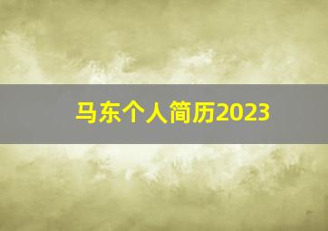 马东个人简历2023