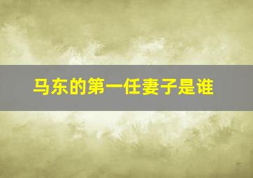 马东的第一任妻子是谁