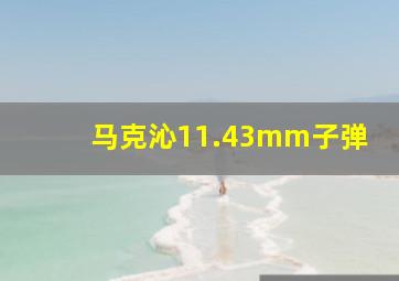 马克沁11.43mm子弹