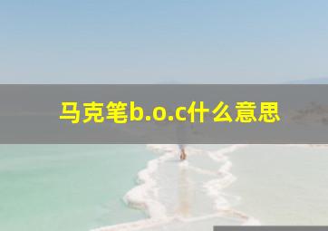 马克笔b.o.c什么意思