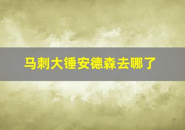 马刺大锤安德森去哪了