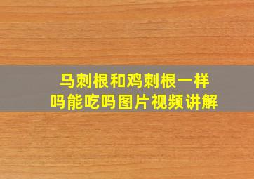 马刺根和鸡刺根一样吗能吃吗图片视频讲解