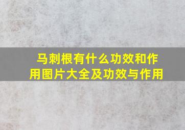 马刺根有什么功效和作用图片大全及功效与作用