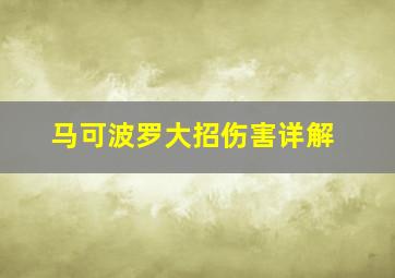 马可波罗大招伤害详解