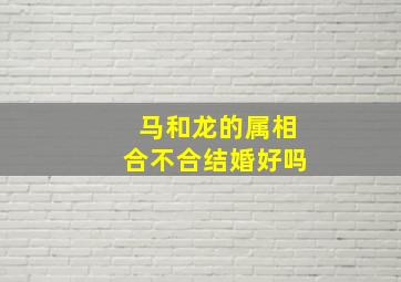 马和龙的属相合不合结婚好吗