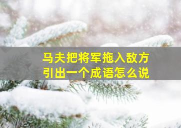 马夫把将军拖入敌方引出一个成语怎么说