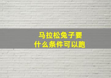 马拉松兔子要什么条件可以跑