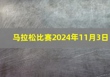 马拉松比赛2024年11月3日