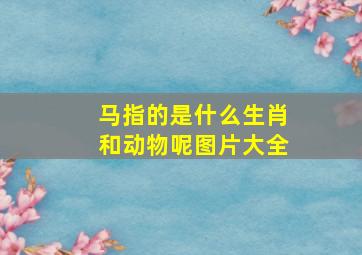 马指的是什么生肖和动物呢图片大全