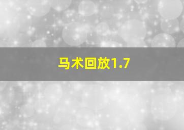 马术回放1.7