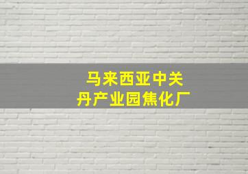 马来西亚中关丹产业园焦化厂