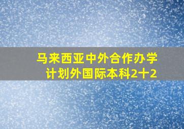 马来西亚中外合作办学计划外国际本科2十2