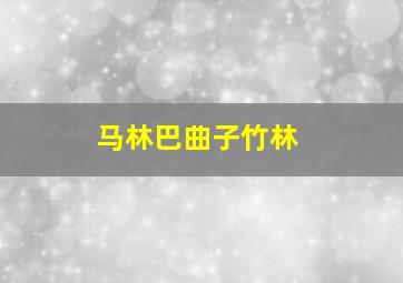 马林巴曲子竹林