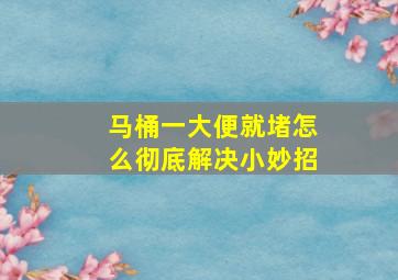 马桶一大便就堵怎么彻底解决小妙招