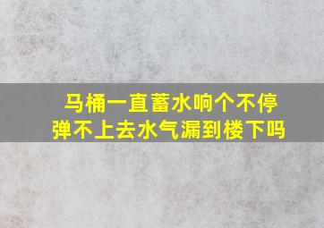 马桶一直蓄水响个不停弹不上去水气漏到楼下吗