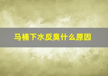 马桶下水反臭什么原因