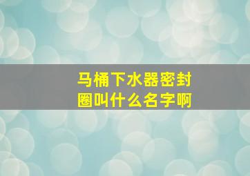 马桶下水器密封圈叫什么名字啊