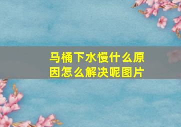 马桶下水慢什么原因怎么解决呢图片