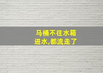 马桶不往水箱进水,都流走了