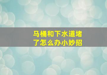 马桶和下水道堵了怎么办小妙招