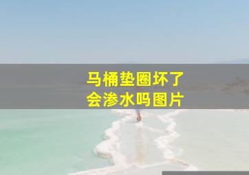 马桶垫圈坏了会渗水吗图片