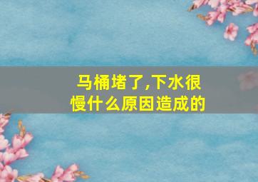 马桶堵了,下水很慢什么原因造成的