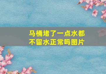 马桶堵了一点水都不留水正常吗图片