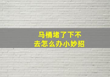 马桶堵了下不去怎么办小妙招